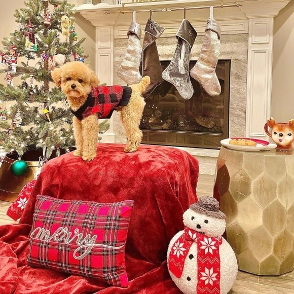 Pottery Barn Whimsical and Cute Archie The Snowman Shaped Fuzzy Cozy Pillow ☃️❄️ - Picture 9 of 16